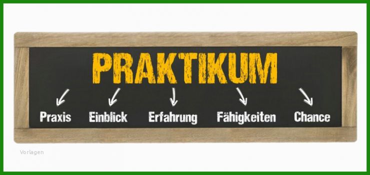 Erwartungen An Mein Praktikum Vorlage