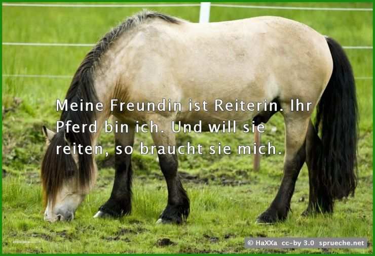 Gutschein Reiten Vorlage