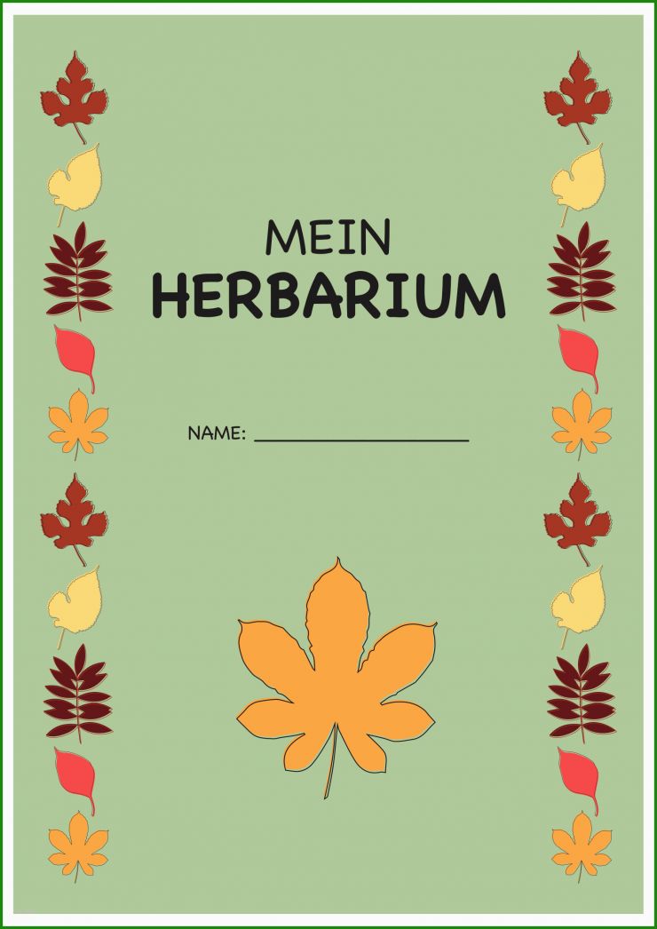 Herbarium Etiketten Vorlagen Zum Ausdrucken