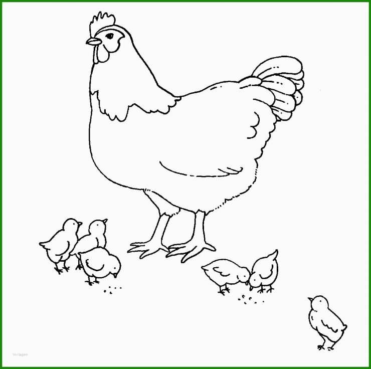 Hühner Basteln Vorlagen