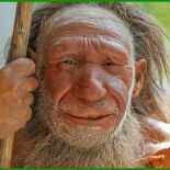 Neandertaler Steckbrief Muster