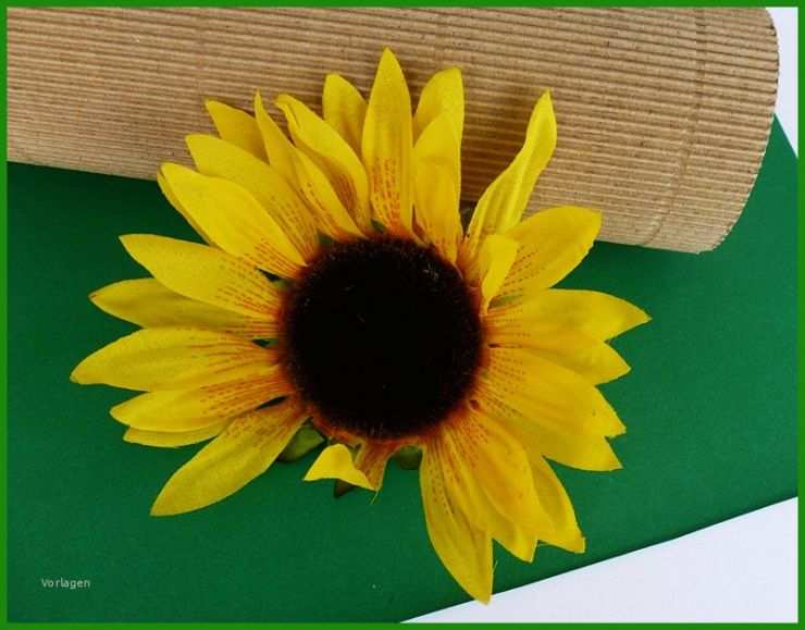 Sonnenblume Vorlage Zum Basteln