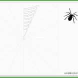 Spinnennetz Analyse Vorlage