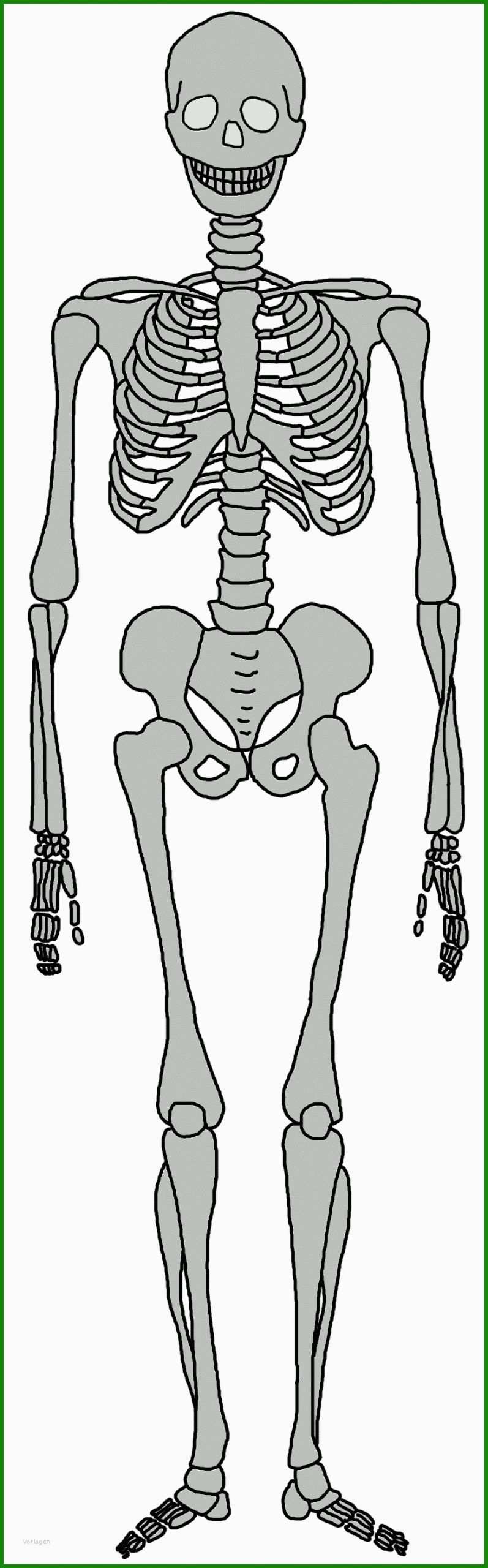 Vorlage Skelett Basteln - Kostenlose Vorlagen Zum Download!